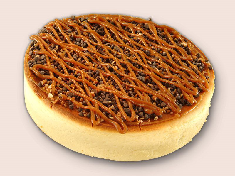 Cheesecake-Turtle