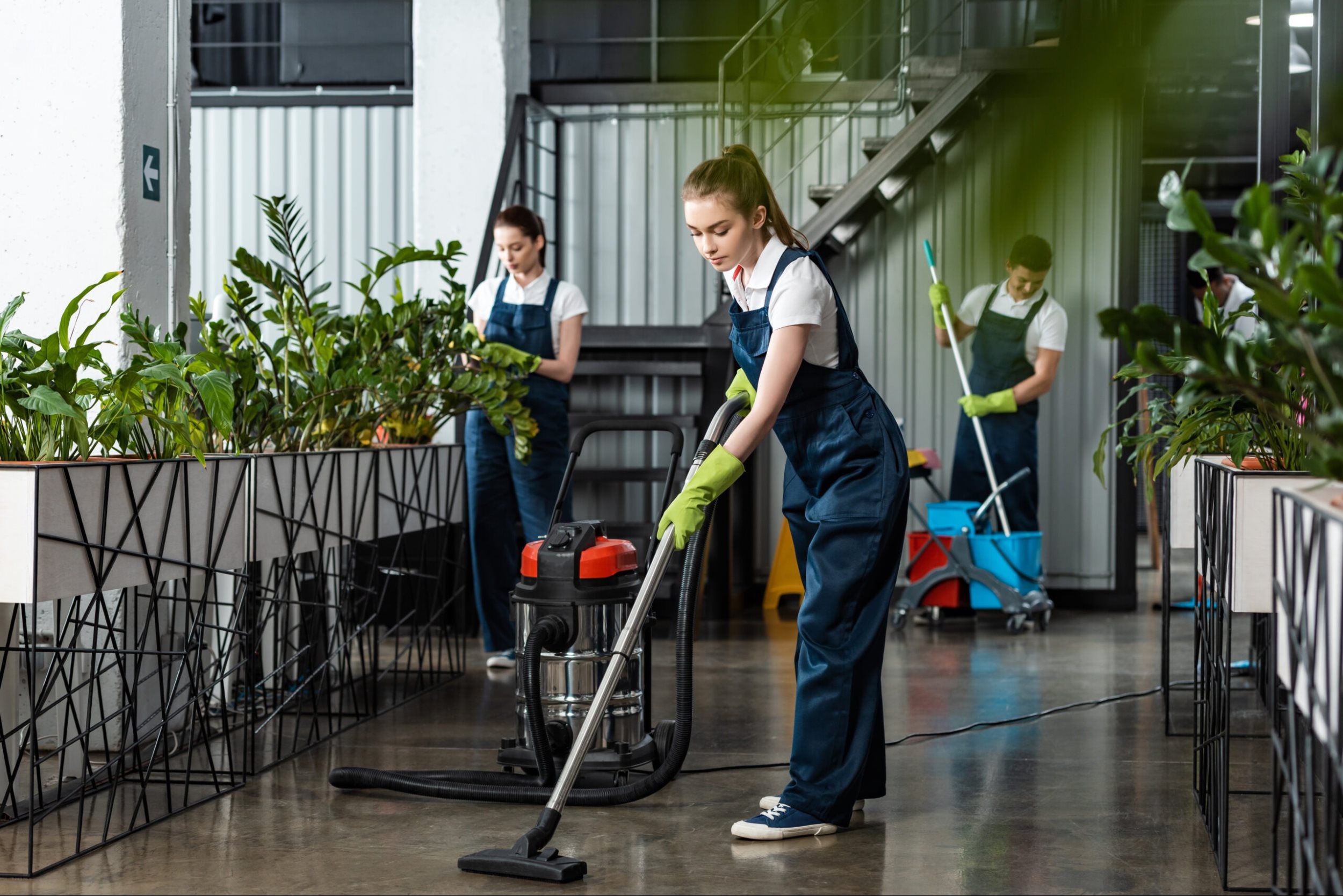 Cleaning Services