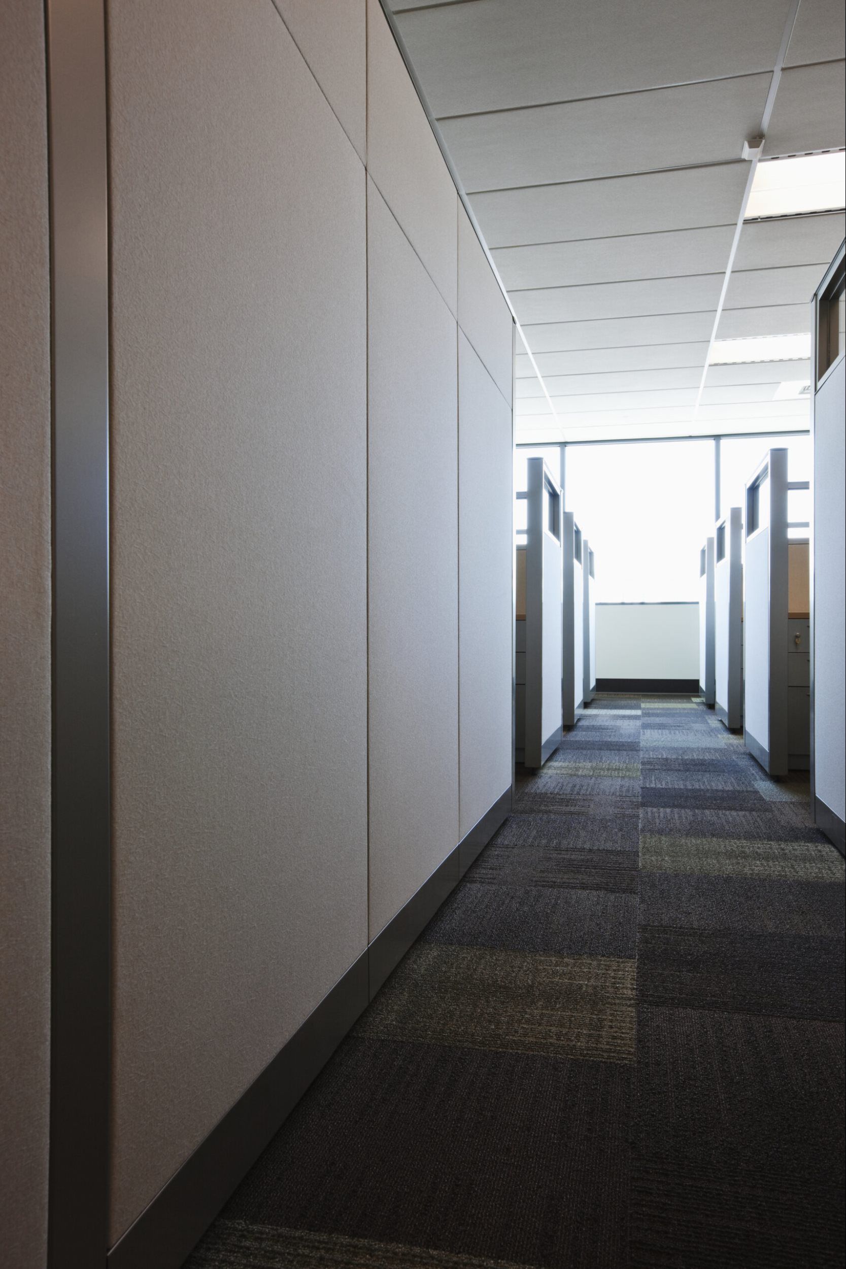 Cleaning Services