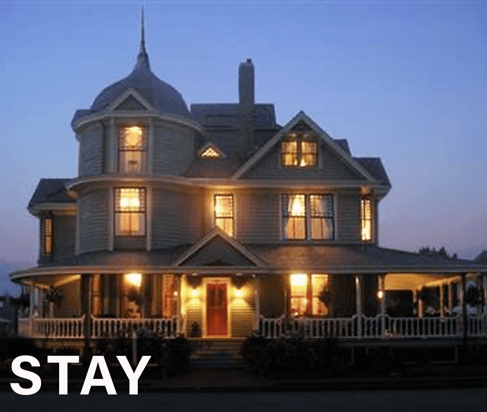 stay