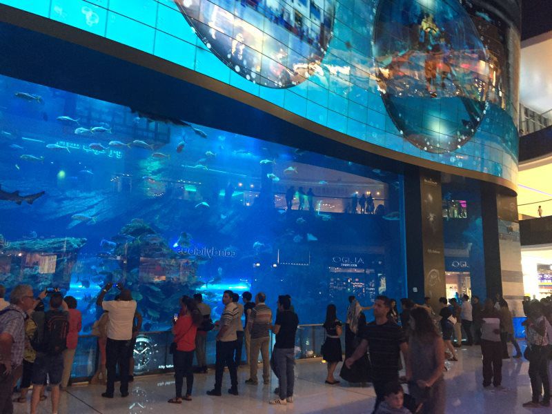 Dubai Trip 2018 view