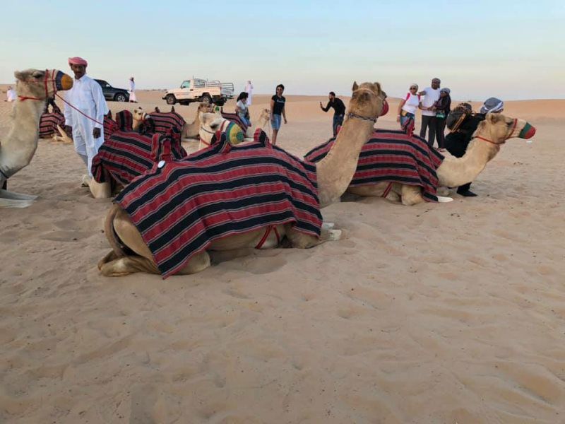 Dubai Trip 2018 view