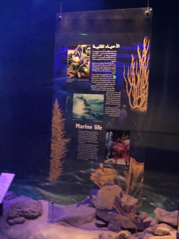 Dubai Trip 2018 view