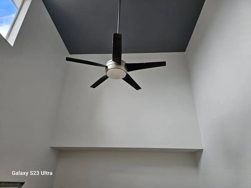 Professional Painting