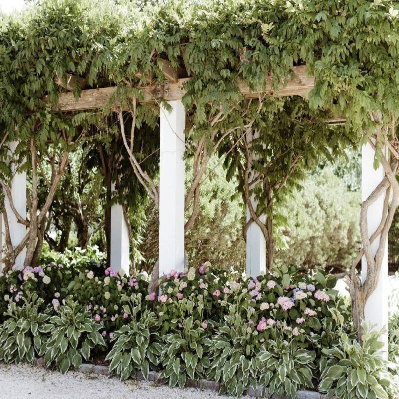 MACKENZIE + JEREMY Bedell Cellars