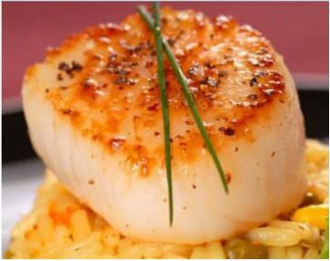 Scallops