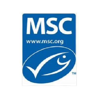 msc