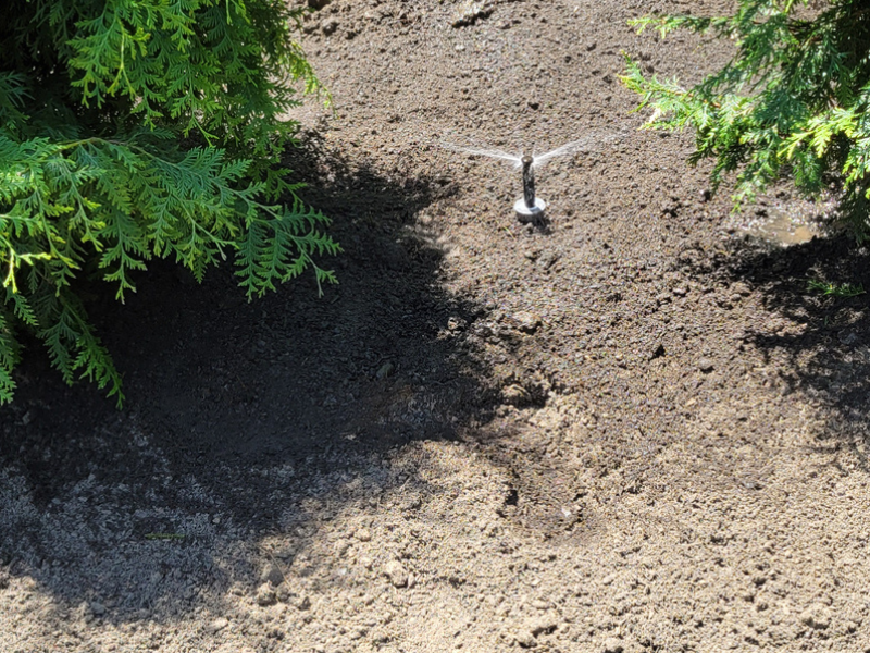 Trinity Landscaping 