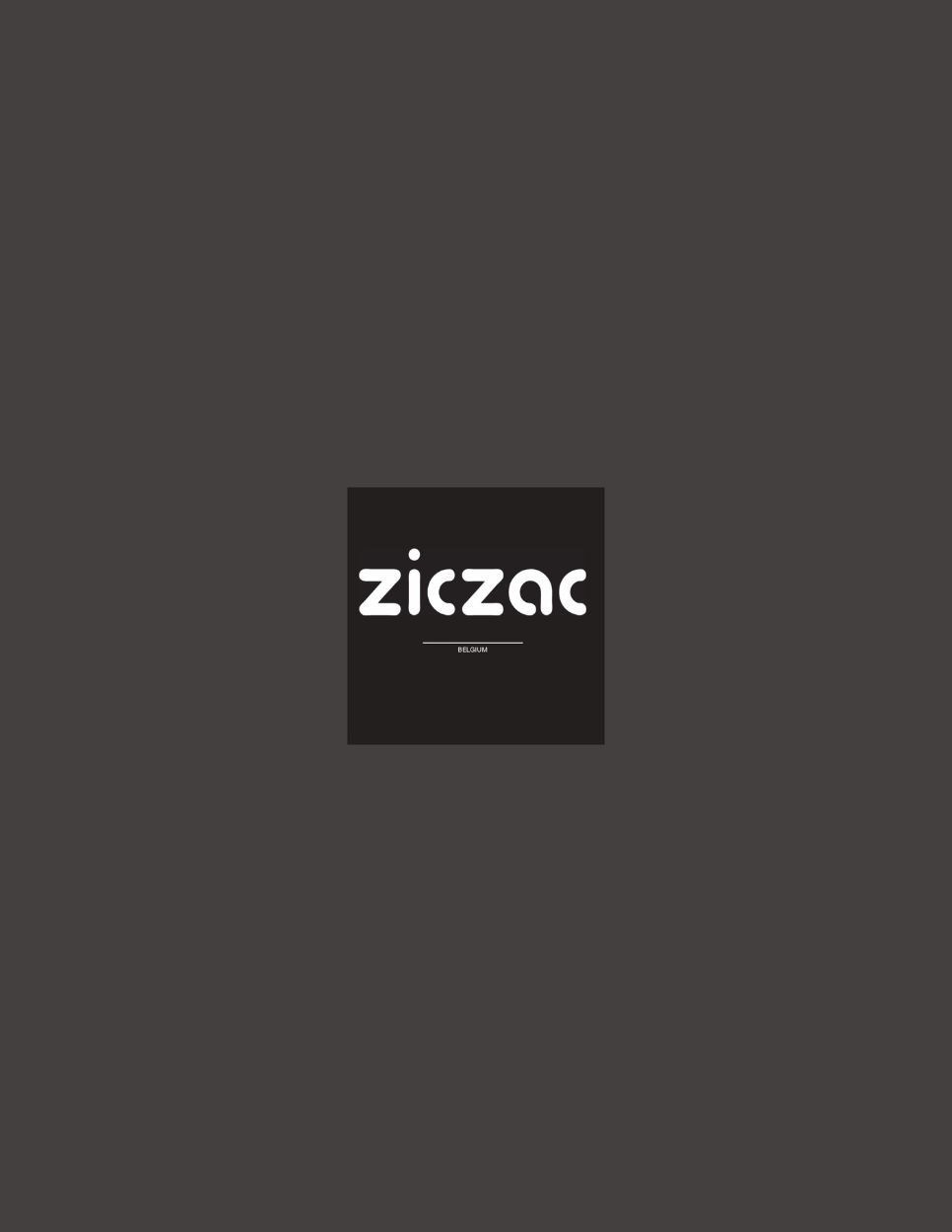 Ziczac cover image