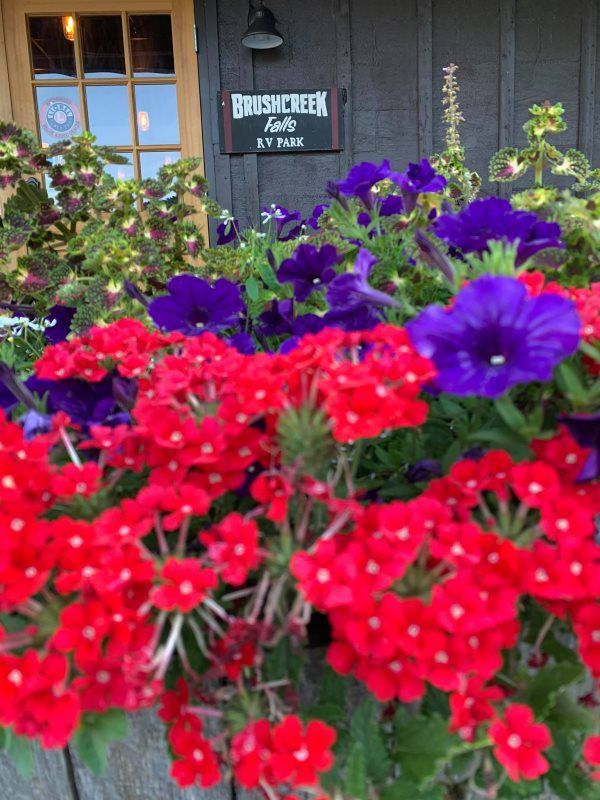 The Wedding Barn 