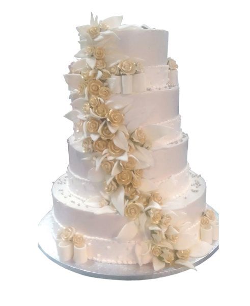 Plan your next event