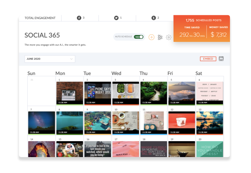 Social 365