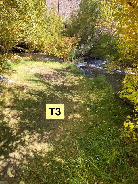 Tent Sites