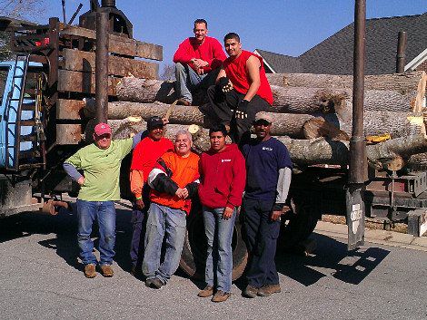 Tommy Hicks Tree Service