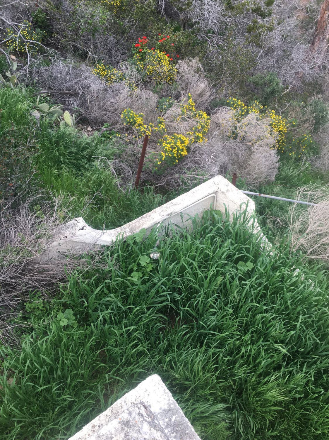 building restoration