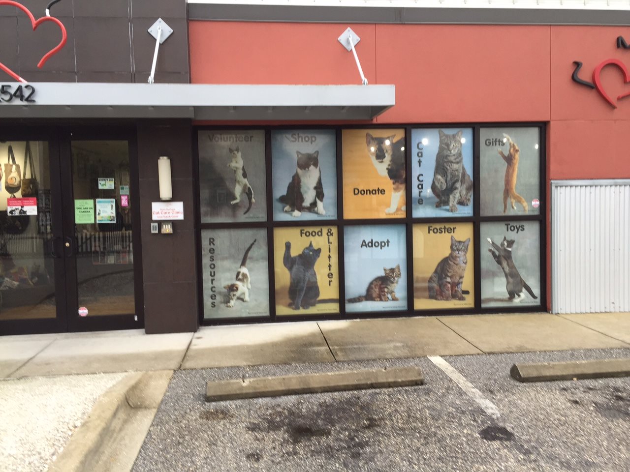 Perforrated Window Graphics