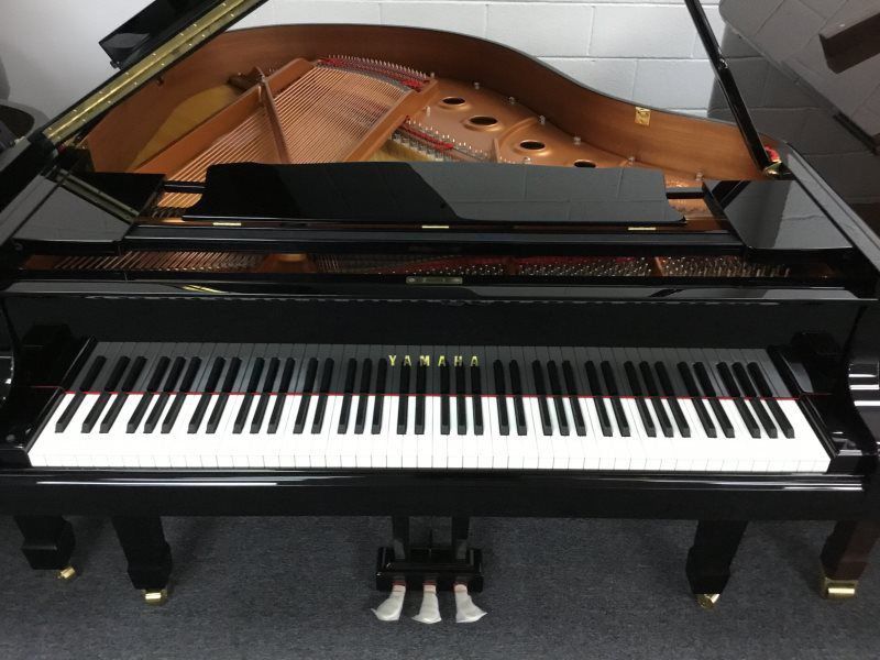 Yamaha Pianos Official Piano Dealer