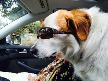 TurnerBuilt Inc new home project