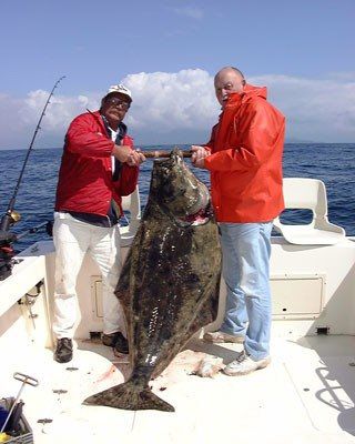 Kingfisher Charters & Lodge fishing, fish