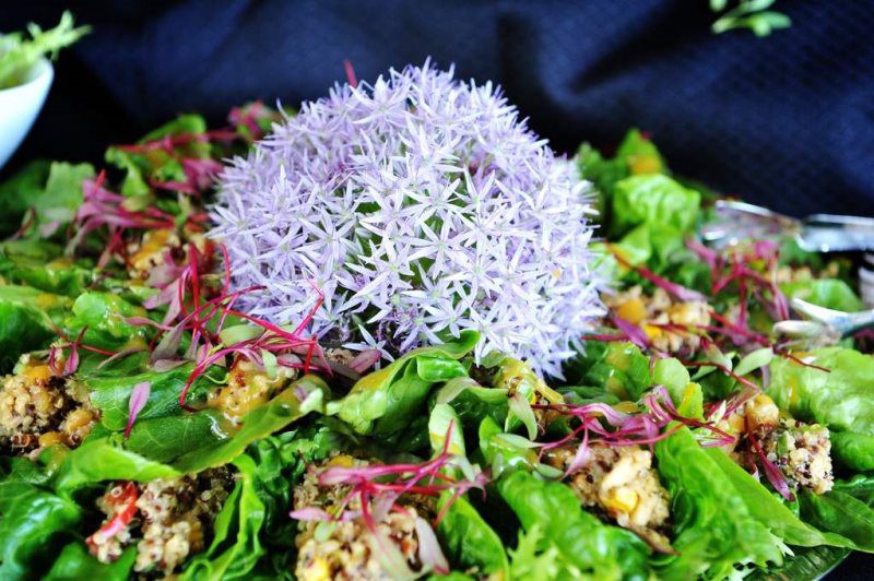 Gallery New Leaf Catering