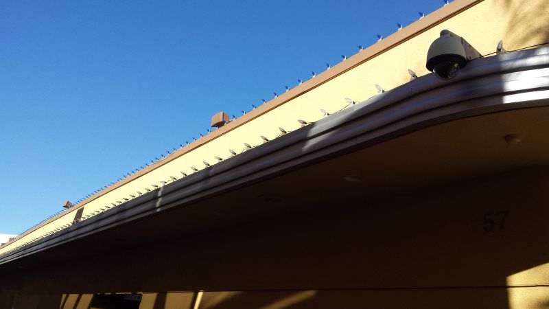 SILICON ROOF UNIVERSAL