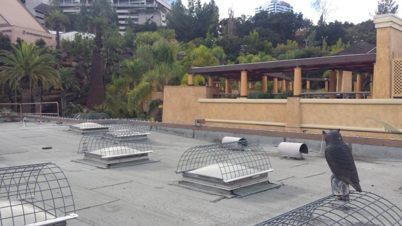 SILICON ROOF UNIVERSAL