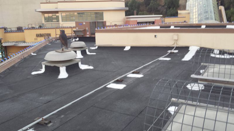 SILICON ROOF UNIVERSAL