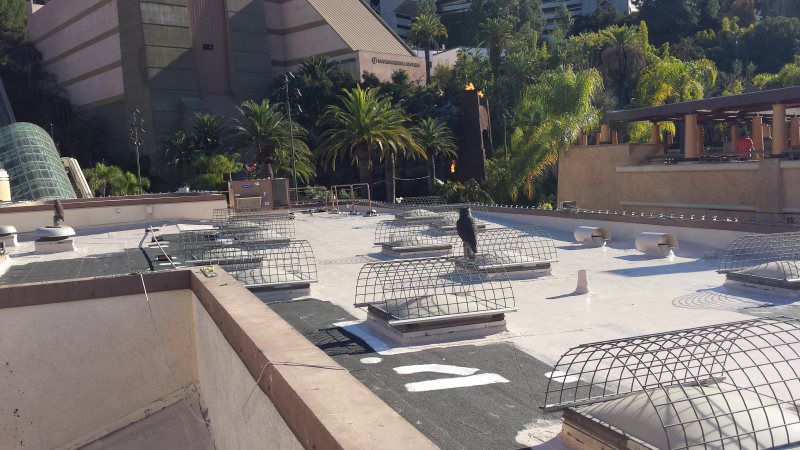 SILICON ROOF UNIVERSAL