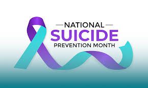 temp-post-image