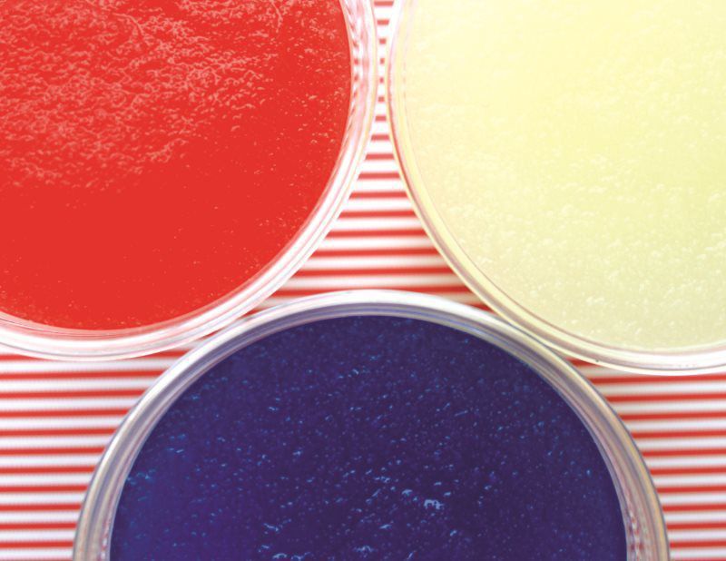 Wetzel's Pretzels Hand Held Happiness Wetzel's Pretzels