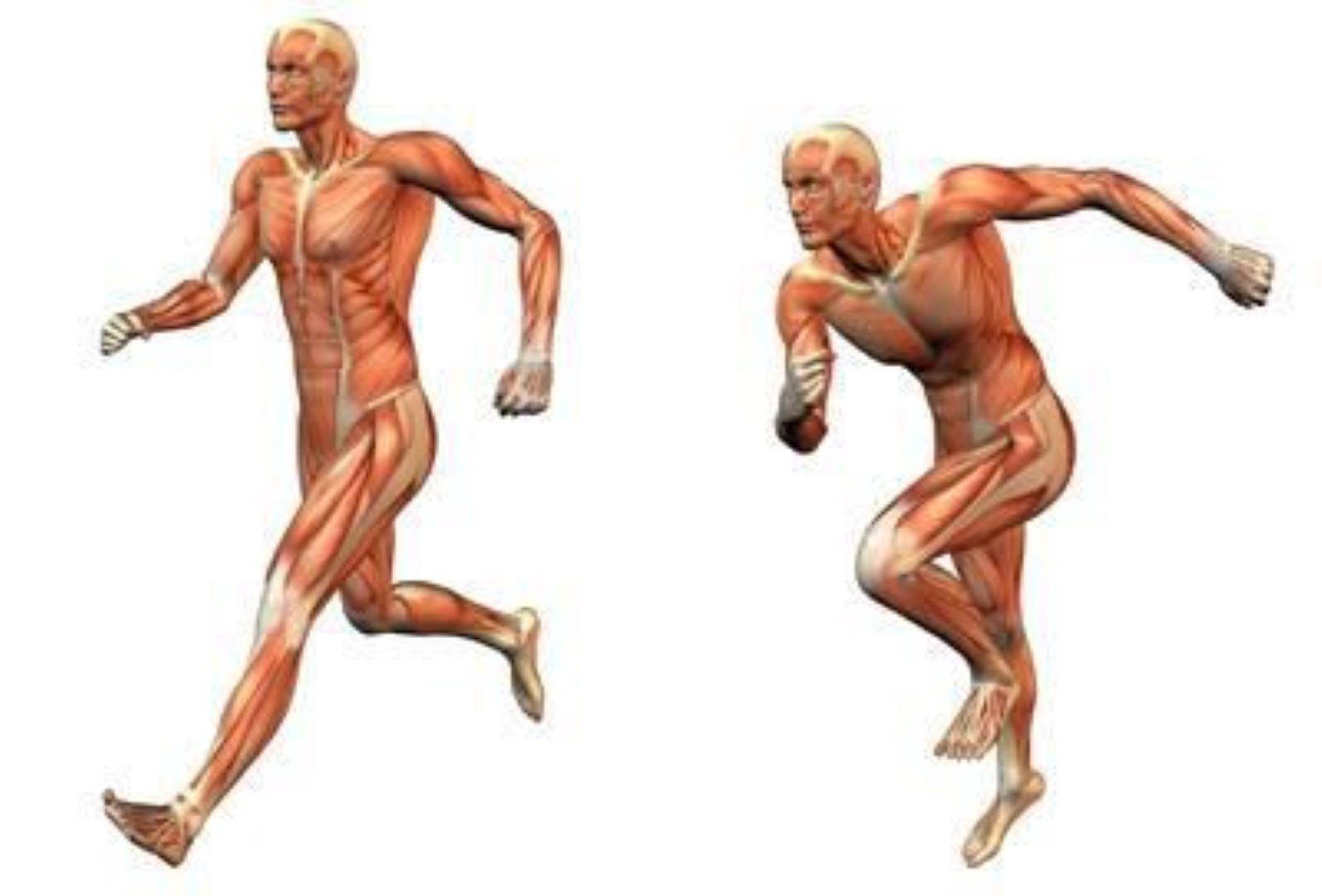 Advanced Massage and Bodyworks 