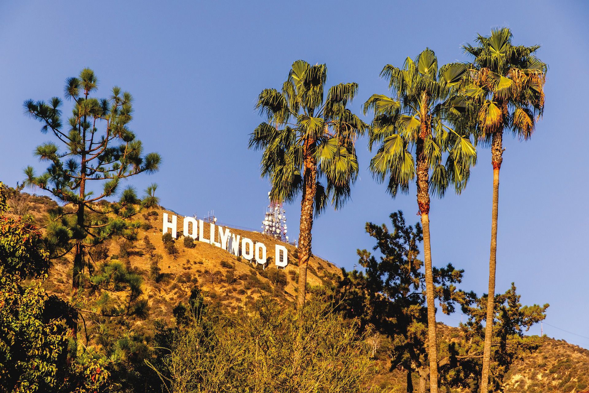 Hollywood