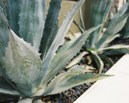 Urban Contemporary In Las Vegas