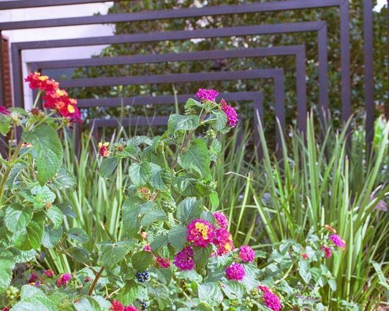 Tranquility In Las Vegas