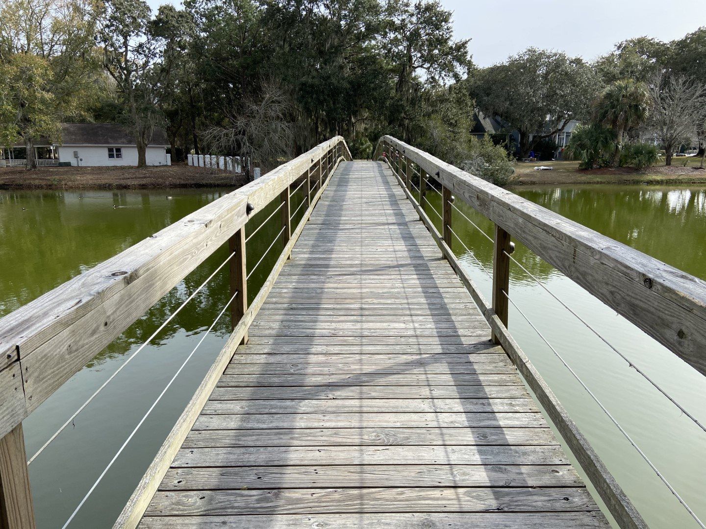 Ravens Run Lauren Cox