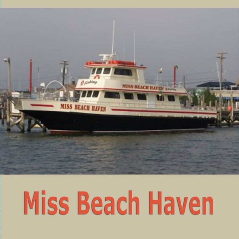 MISS BEACH HAVEN