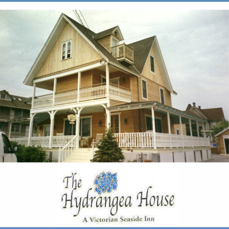 HYDRANGEA HOUSE