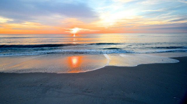 spring in beach haven