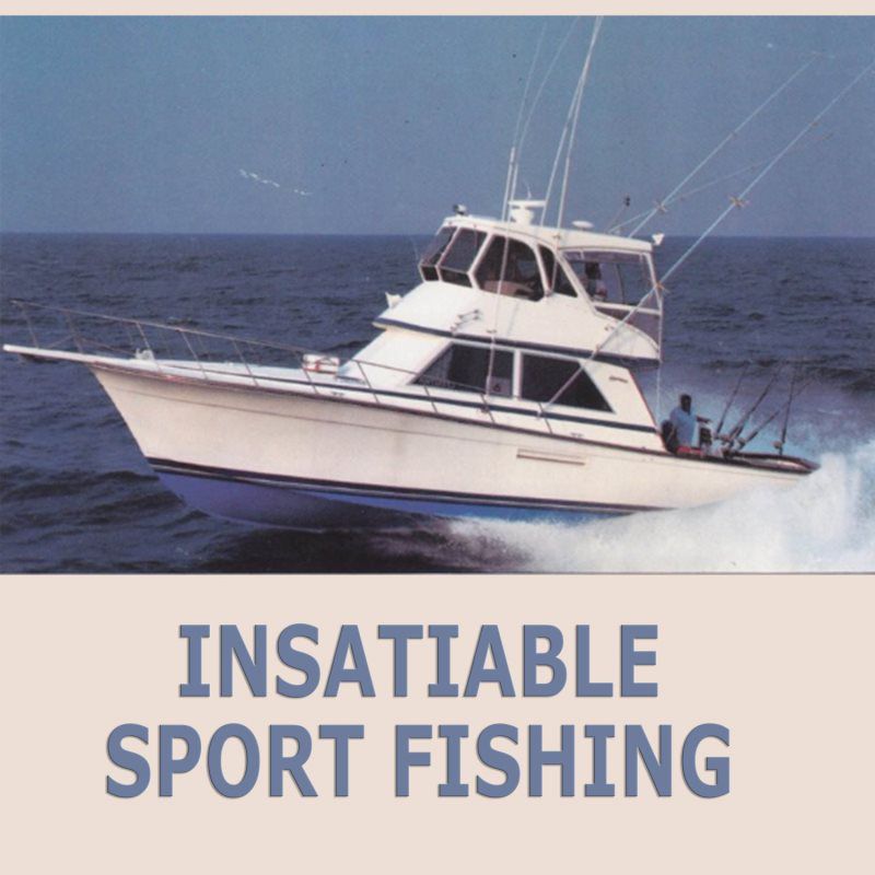 INSATIABLE SPORT FISHING