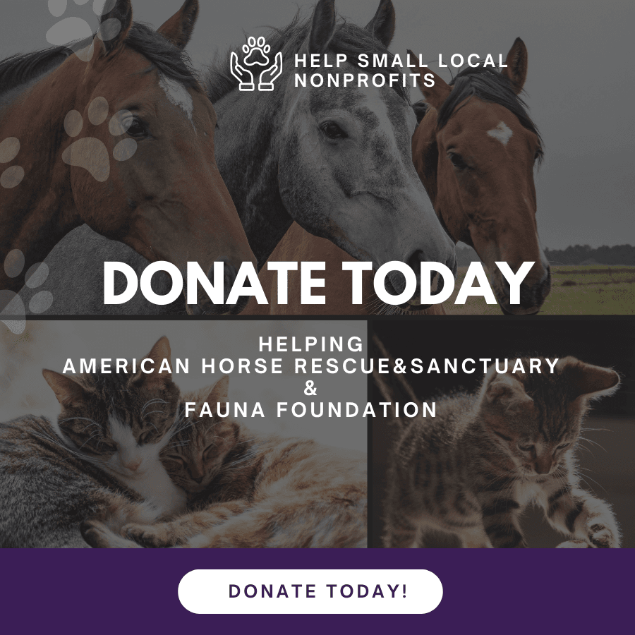 donate now