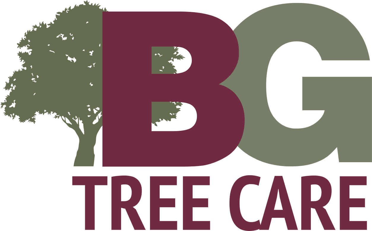 B.G. Tree Care Logo