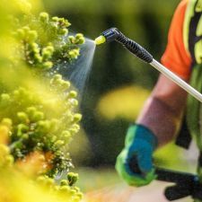 Tree Health Management