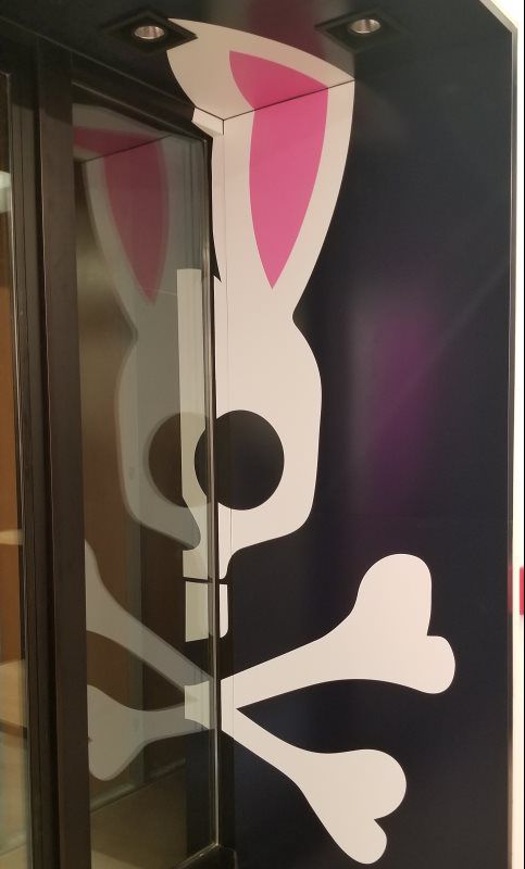 Vinyl Graphics & Vehicle Wraps