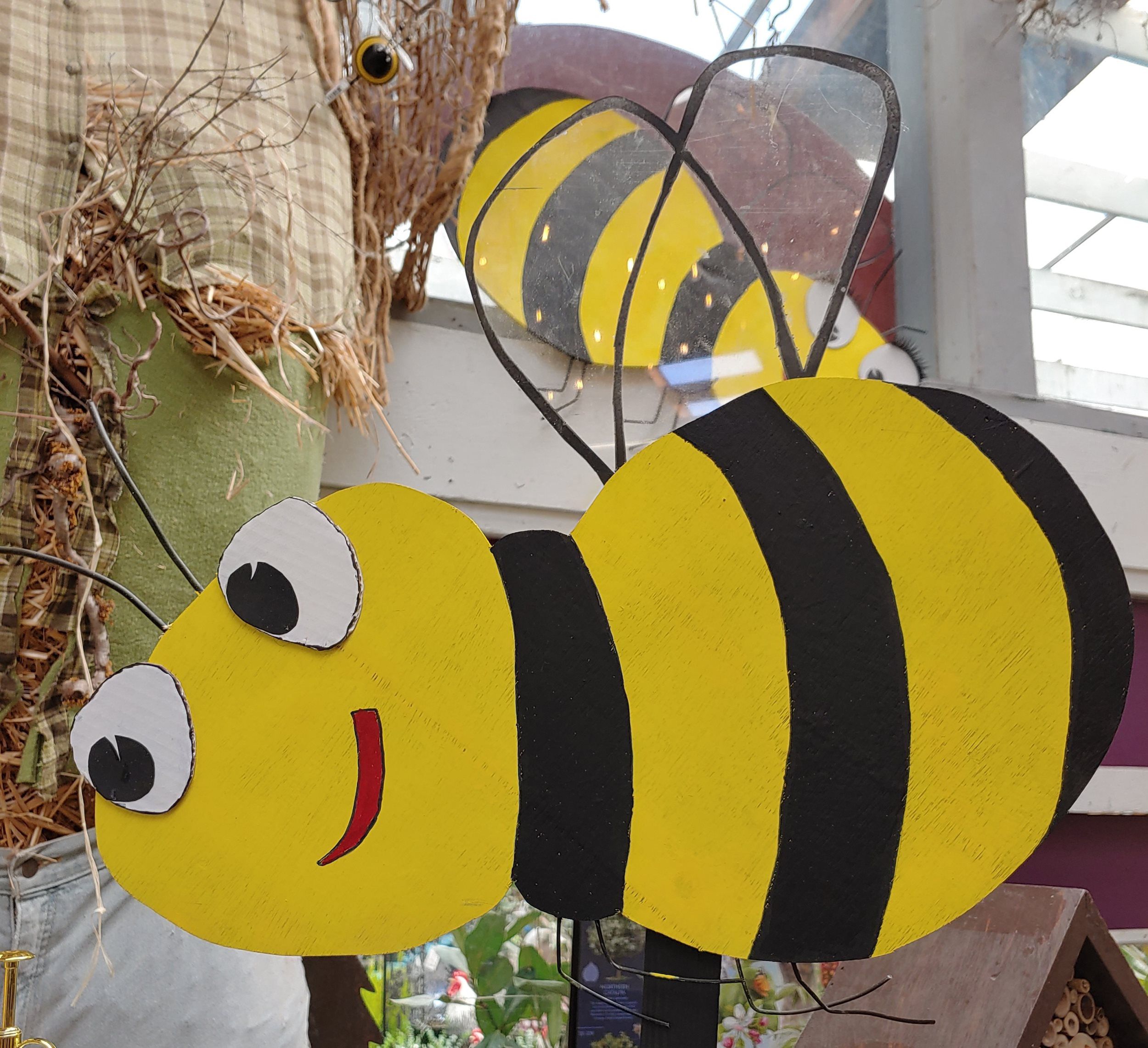 PLANTS FOR BEES, BUTTERFLIES AND BIRDS!