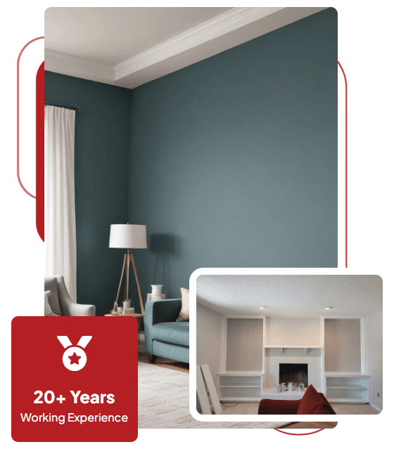 Professional Painting