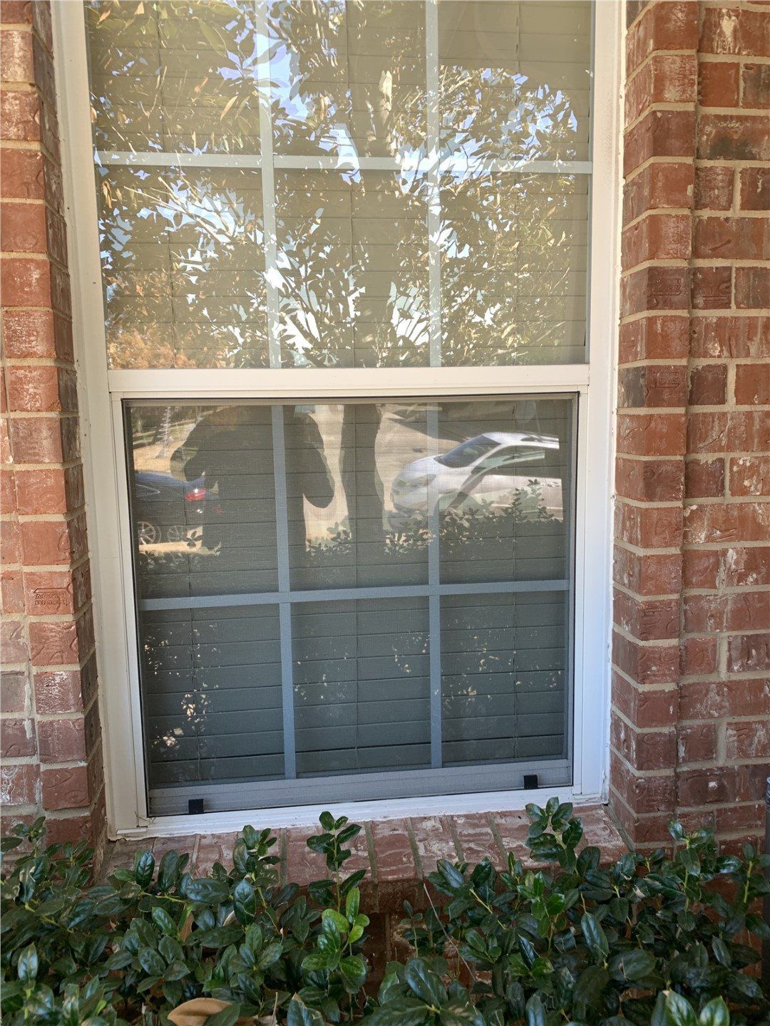 Window Replacement