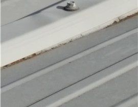 Gutter Replacement