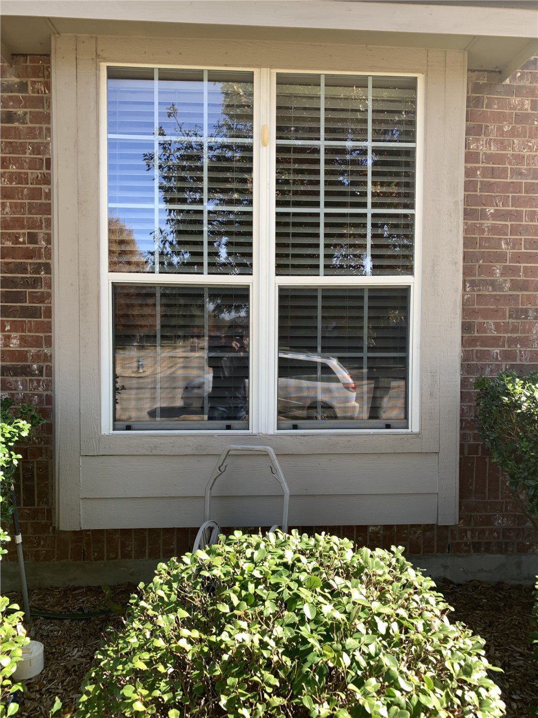 Window Replacement