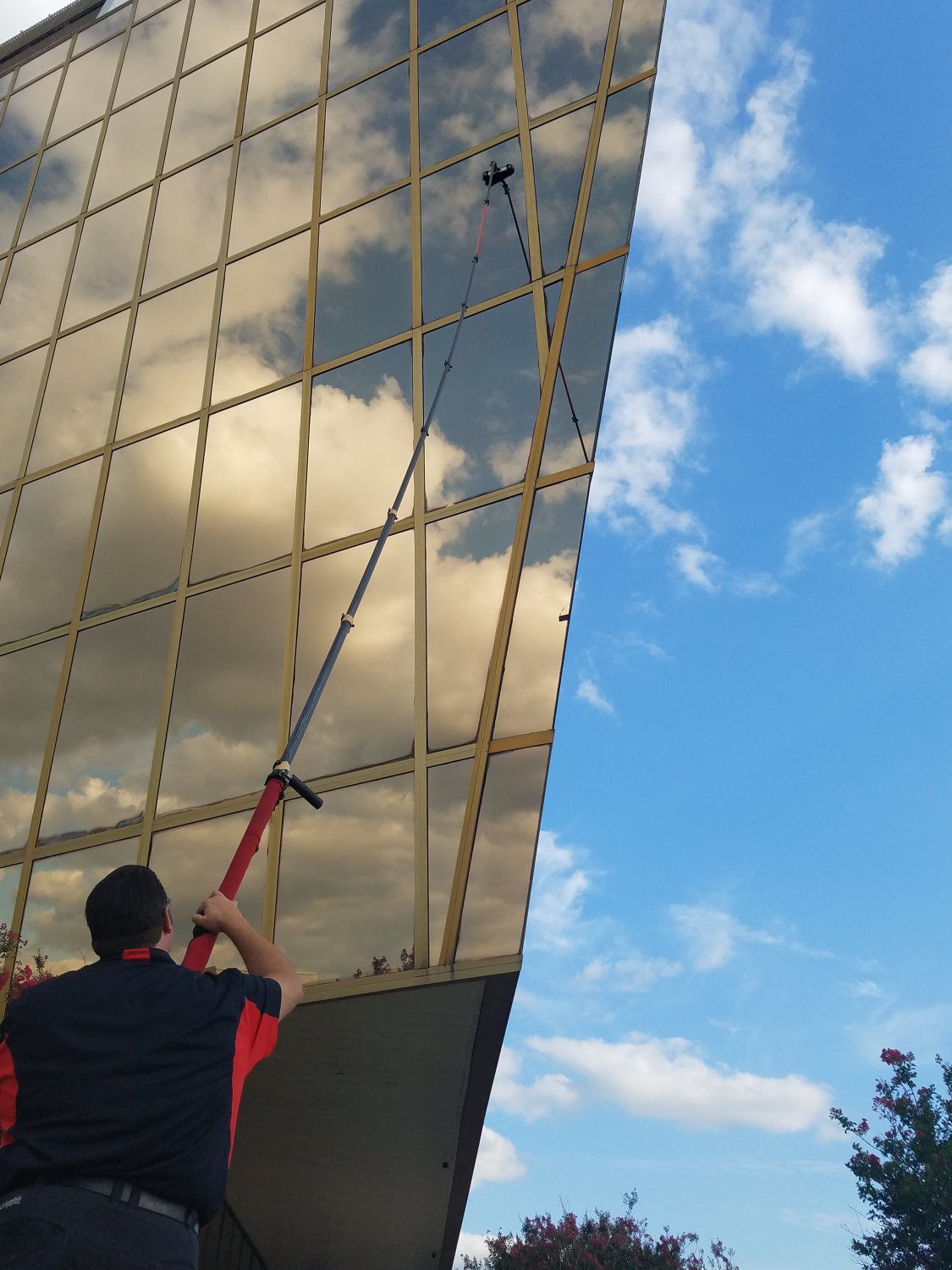 Squeaky Clean Window Cleaning