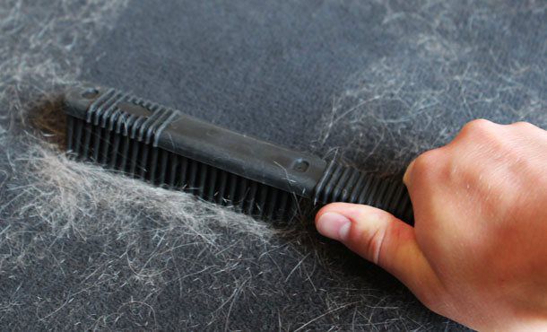 Hair Removal